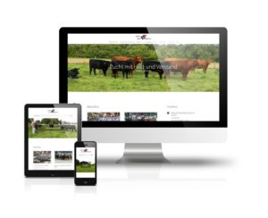 Webdesign angus.de