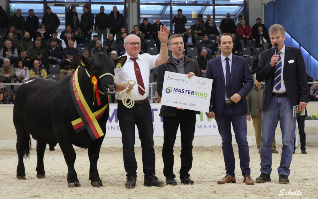 Erfolg auf ganzer Linie