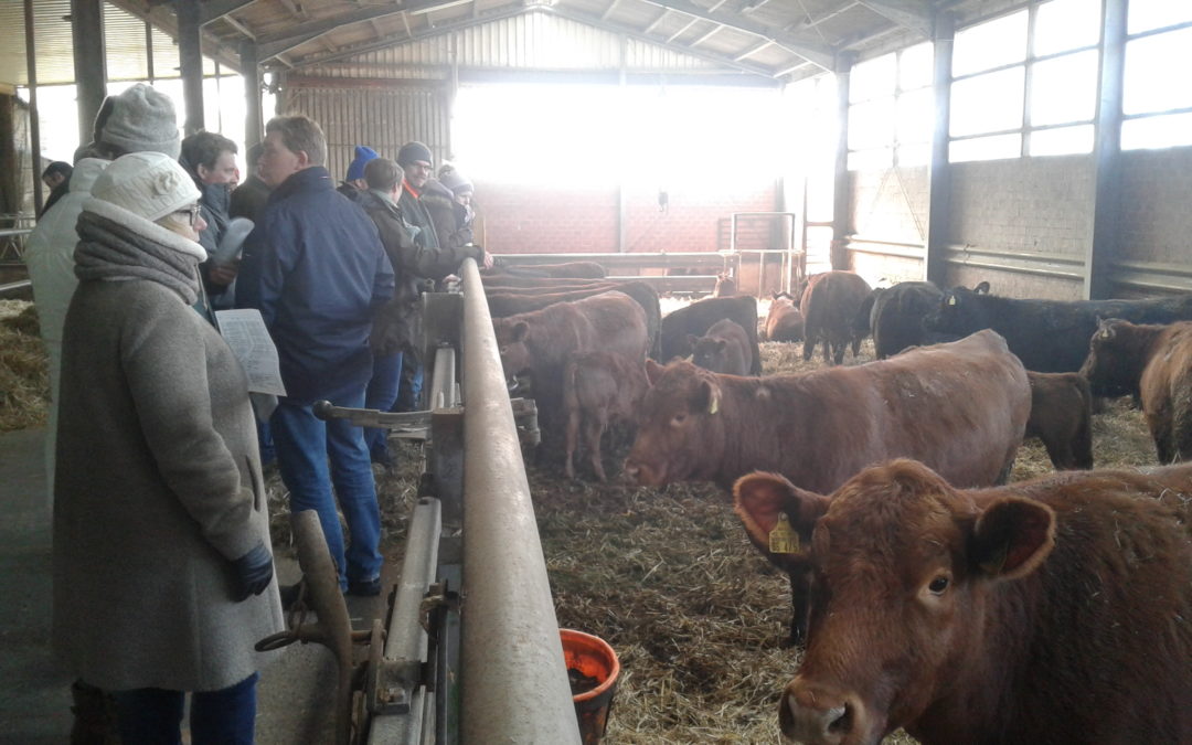 Betriebsbesichtigung bei Gerstenkorns